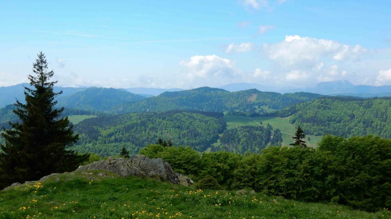 Weitblick "Entspannen - Wohlfuehlen - Aktiv Erholen" Elzach Bagian luar foto